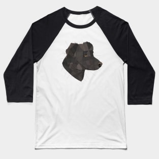 Geometric Dog Baseball T-Shirt